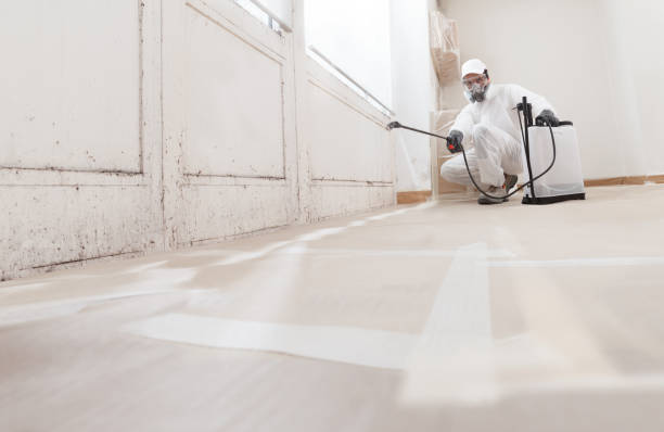 24/7 Emergency Mold Remediation experts in Yale, VA
