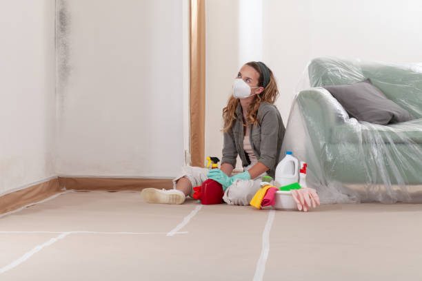 Reliable Mold Remediation contractor in Yale, VA by WQB Mold Removal